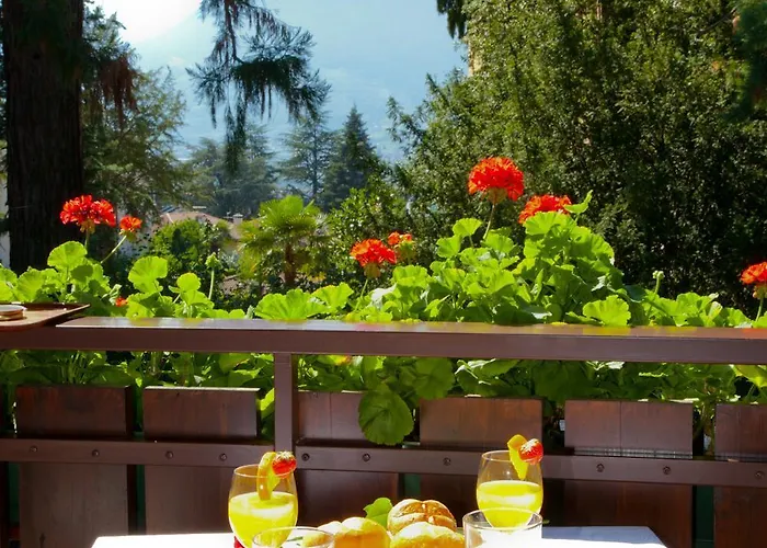 Living Morgenstern 公寓 *